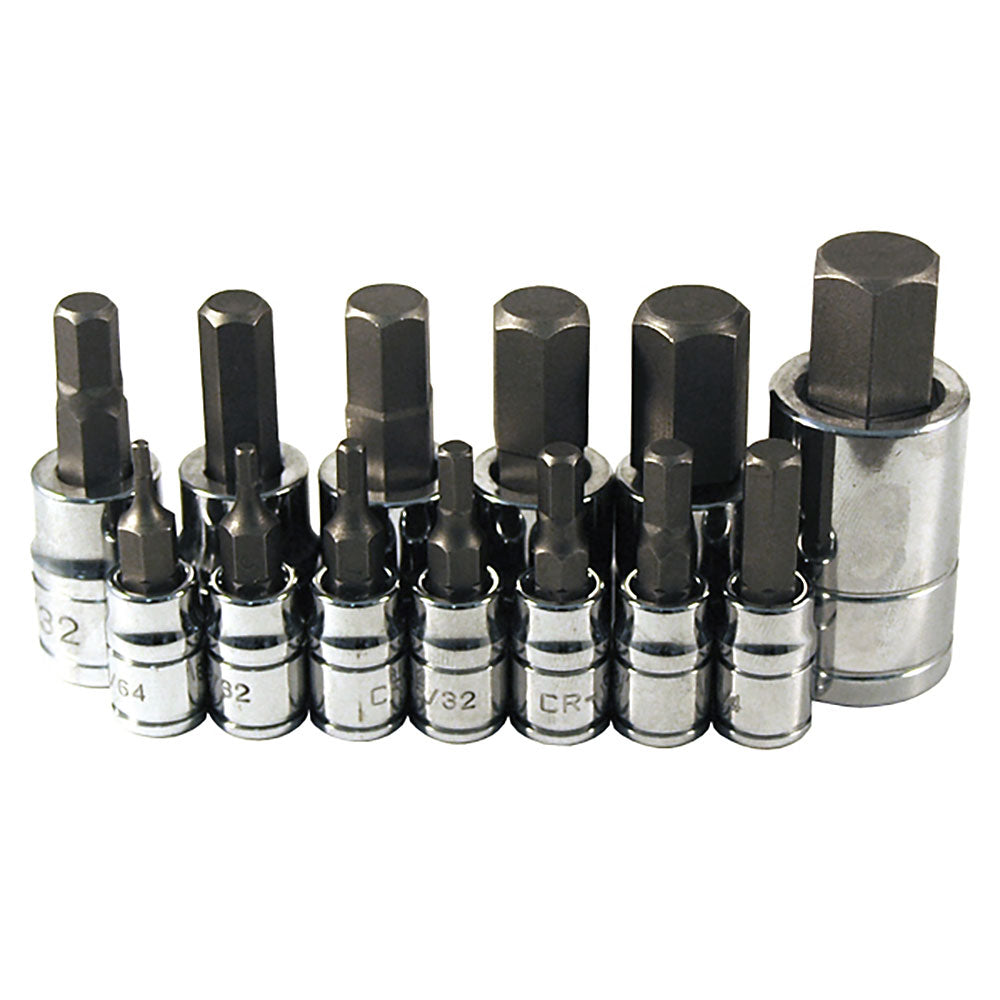 13 Pc. SAE Hex Bit Socket Set