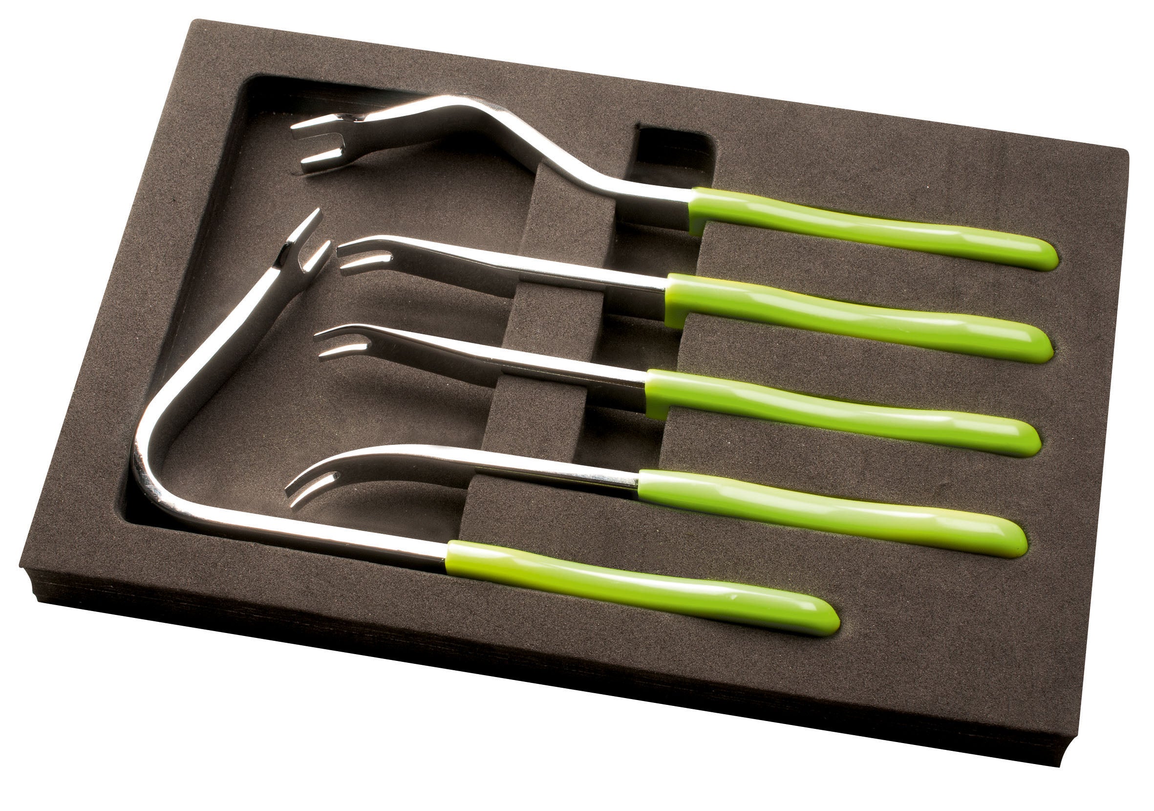 5 Pc. Clip Lifter Set