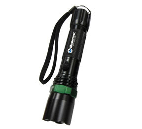 Rechargeable UV Flashlight