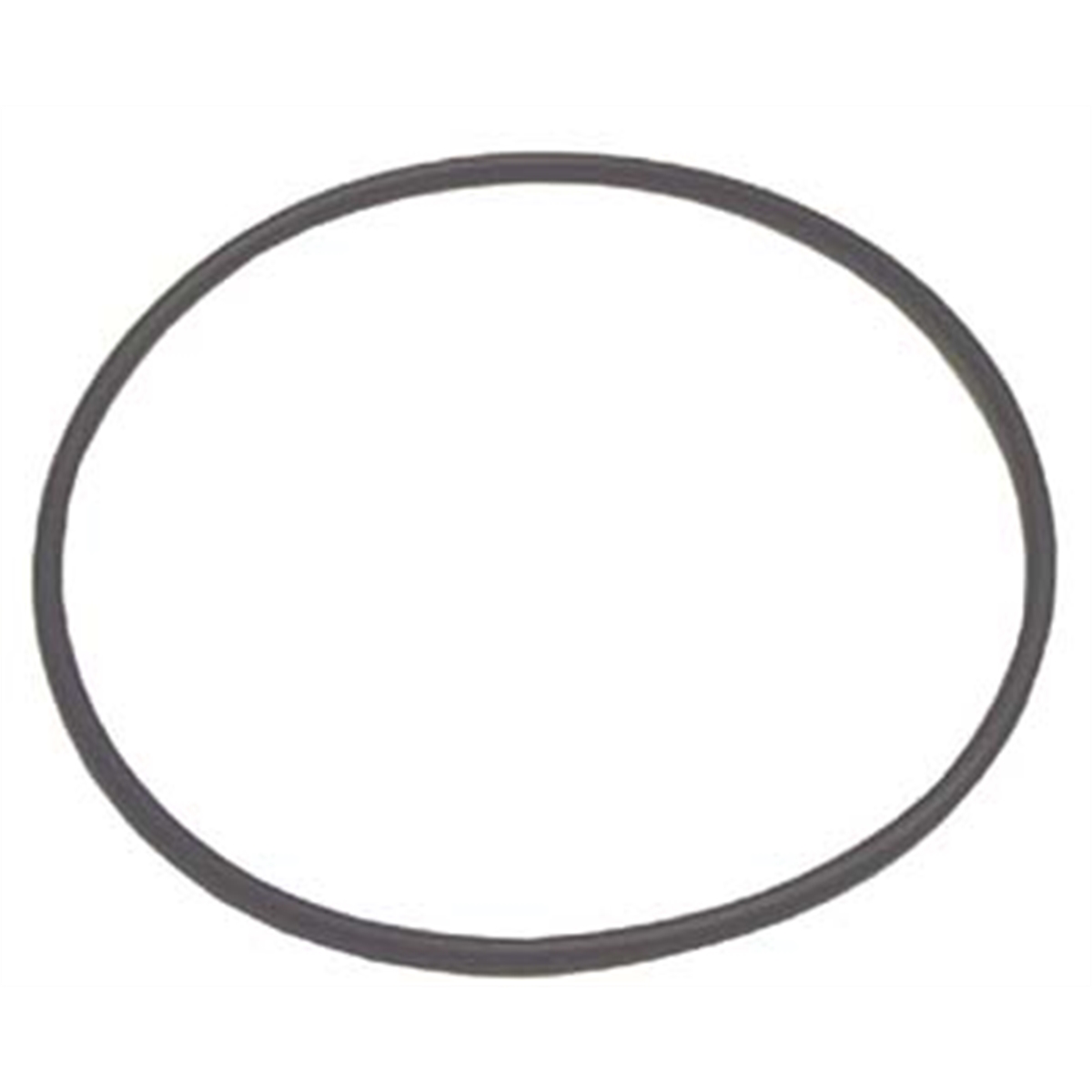 Tire Mechanic's Resource (H10)Large O-Ring For TC182034 Rotary Coupling Assembly