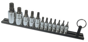 12 Piece Torx Plus Socket