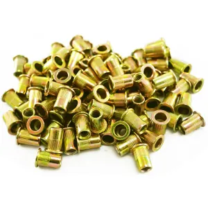 Astro Pneumatic 100pc 1/4-20 Steel Rivet Nuts