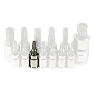 1/4" Drive T25 TORX Bit Socket
