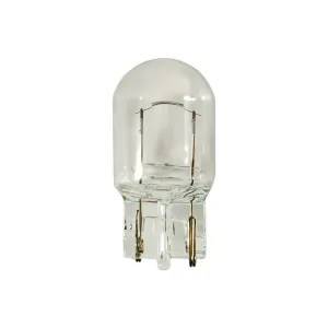 AUVECO 19206 Type 16 Miniature Bulb, Clear