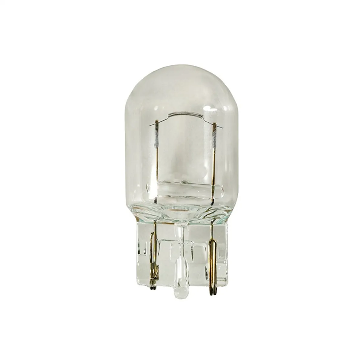 AUVECO 19206 Type 16 Miniature Bulb, Clear