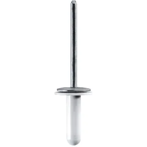 AUVECO LEXUS SPECIALTY RIVET