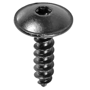 AUVECO 21541 Torx Truss Head A/AB Point Tapping Screw, M5.5 Screw x 20 mm L x 15 mm Dia Head, Black Zinc