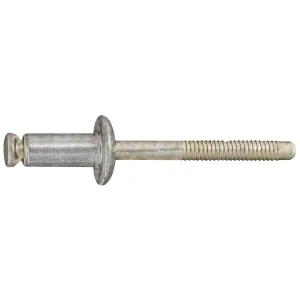 AUVECO PAK PEEL-TYPE RIVETS, 9/64 - 3/16 GRIP