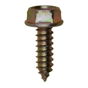 AUVECO PAK M6-1.81 X 20MM LICENSE PLATE SCREWS