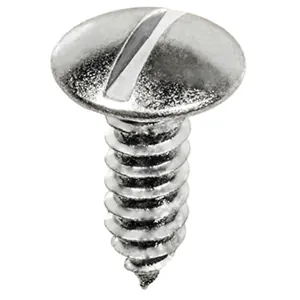 AUVECO PAK LIC PLT SCREW SLTD TRUSS HD, #14 X 3/4, ZNC