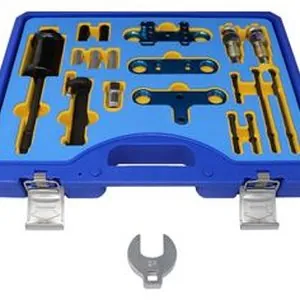BMW Fuel Injection R/I Tool