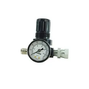 Air Regulator and Gauge Assembly