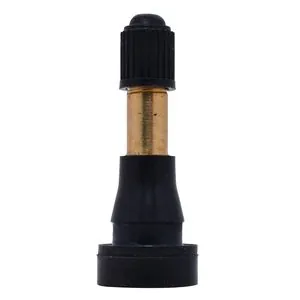 Dill Air Controls Dill TR600HP Snap-In Tire Valve 100pk.