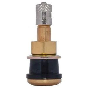 Dill Air Controls Dill TR501 Tire Valve - Pack of 100