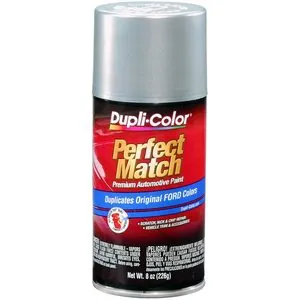 Krylon Silver Met