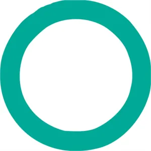 FJC O'RING