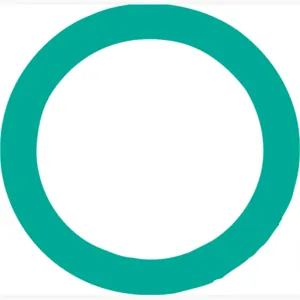 FJC O'RING