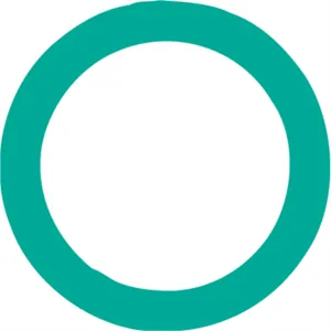 FJC O'RING