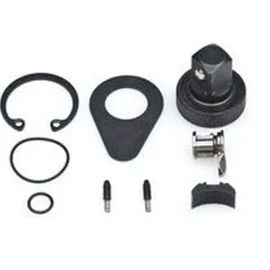 1/2" Non-Quick Release 120 xp Ratchet Repair Kit (dual pawl)