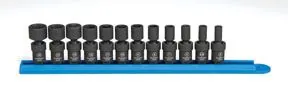 1/4" Dr. 12 Pc. Universal Set Metric