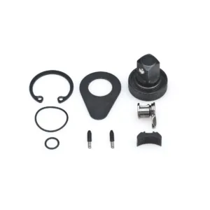GearWrench 1/4 Inch Drive 84-Tooth Non-Quick Release Ratchet Repair Kit