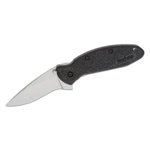 Kershaw Scallion Assisted Open Inset Liner Lock Drop Point Blade EDC Folding Pocket Knife - Black