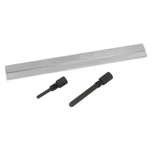 Lisle Camshaft Alignment Kit