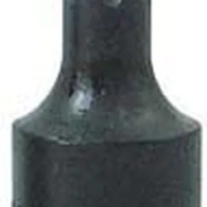 T30 TORX BIT SKT