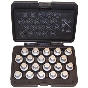 Milton Industries LTI Tool By MIlton 2Nd Generation - 20 Piece Bmw Wheel Lock Screw Socket Set