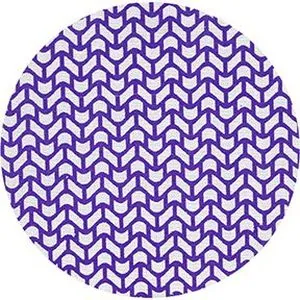 8IN P150 C2 NET DISC