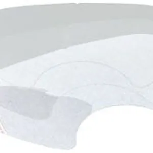 FACE SHIELD 25 PK