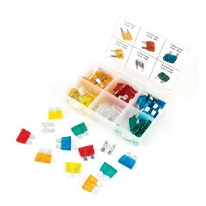 60 Piece Standard Fuse