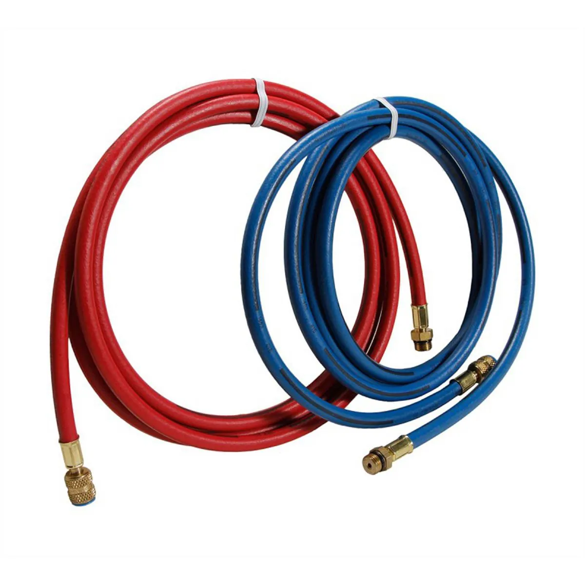 Robinair 9' Long Red and Blue R-134a Enviro-Guard Hose Set