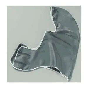 SATA Spray Equipment 60541 Anti-Static Head and Chest Guard