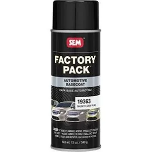 FACTORY PACK - Magnetic Gray Pearl