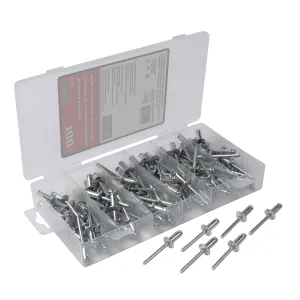 Titan 100 Piece 1/4 in x 1/2 in Aluminum/Steel Rivet Set