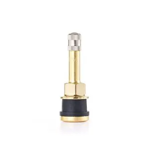 Tire Mechanic's Resource TR500 Brass Truck Valve (Pack of 50)