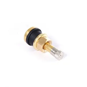 Tire Mechanic's Resource TR501 Brass Truck Valve (Pack of 50)