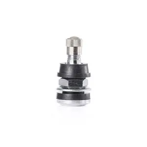 Tire Mechanic's Resource TR559 Brass Truck Valve (Pack of 50)
