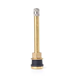 Tire Mechanic's Resource TR571 Brass Truck Valve (Pack of 50)