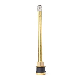 Tire Mechanic's Resource TR574 Brass Truck Valve (Pack of 50)