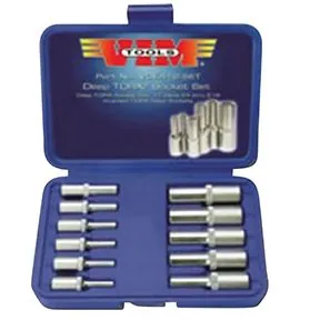 Torx Deep Socket Set, 11pc. Inverted Torx E4 Thru E18, Satin Chrome In Case