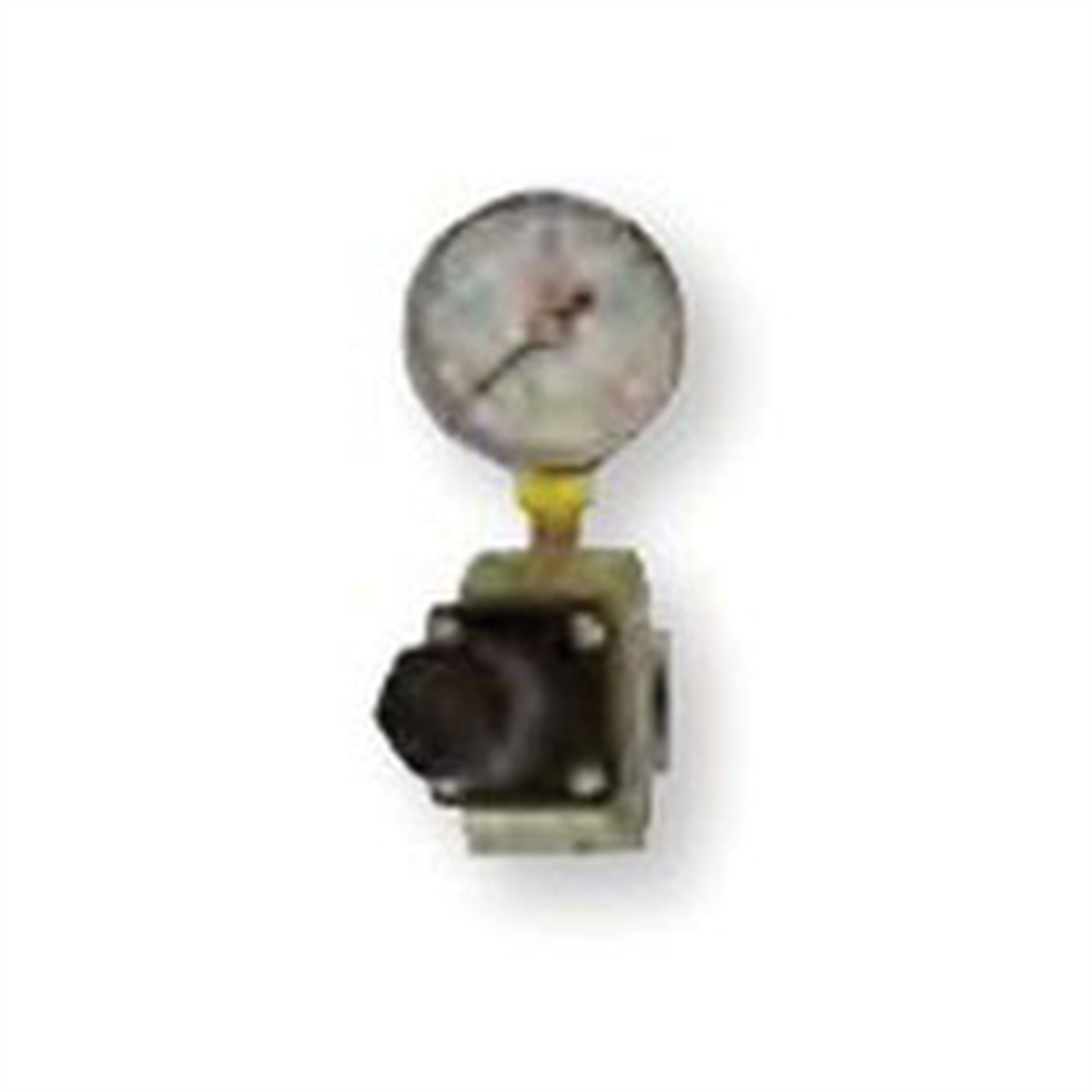 Reading Technologies RG25 Regulator and Gauge Assembly, 1/4 in